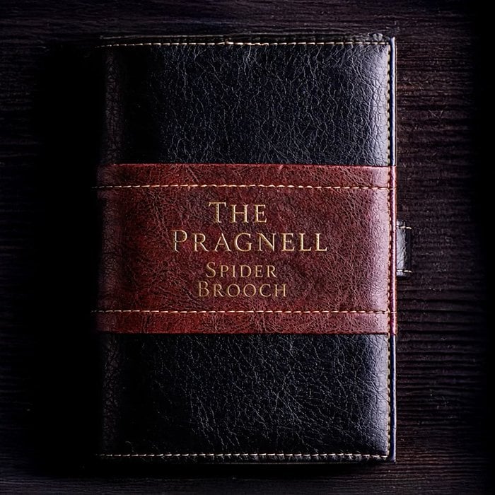 The Pragnell Spider-Brooch