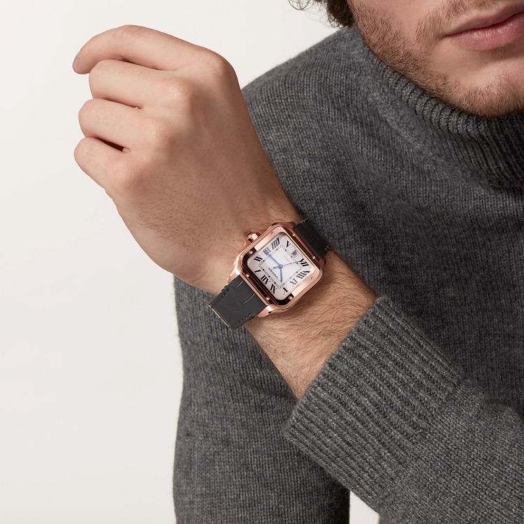 Cartier Santos de Cartier WGSA0019 Watch1.jpg